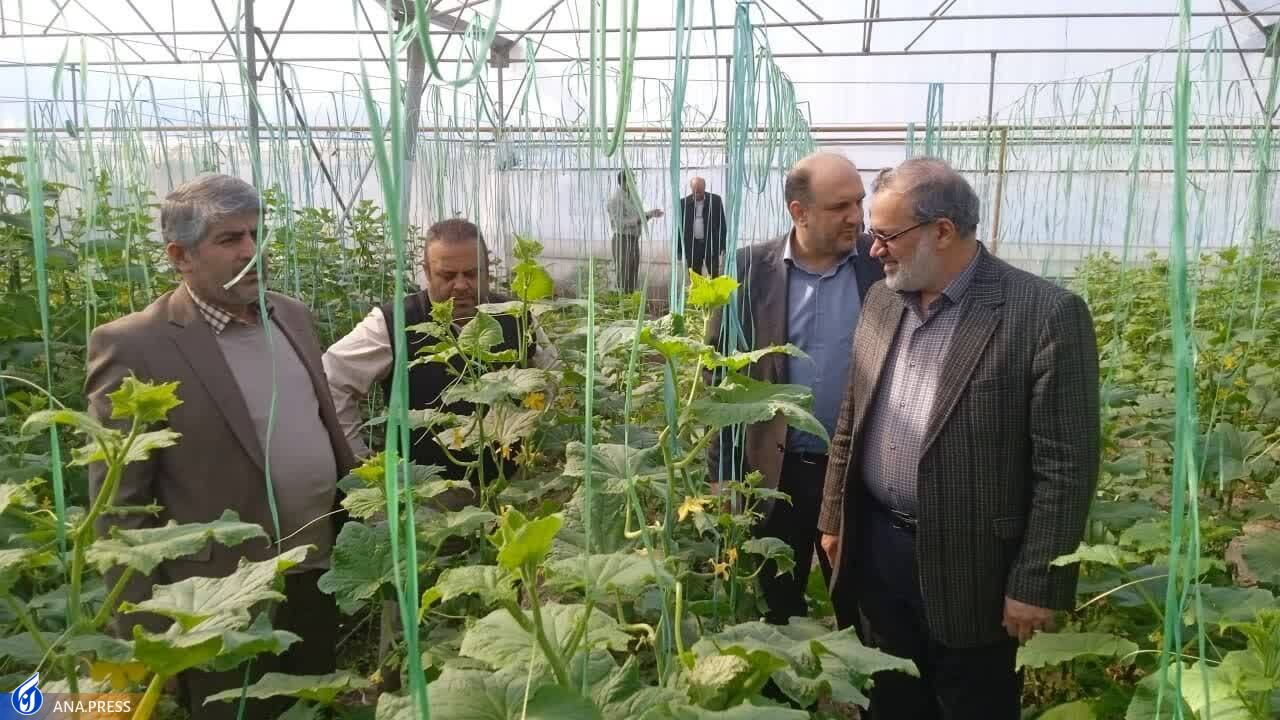 شرایط اقتصادی و بافت منطقهای عاملی برای تأسیس مدارس مهارتی در ورامین است شرایط اقتصادی و بافت منطقهای عاملی برای تأسیس مدارس مهارتی در ورامین است