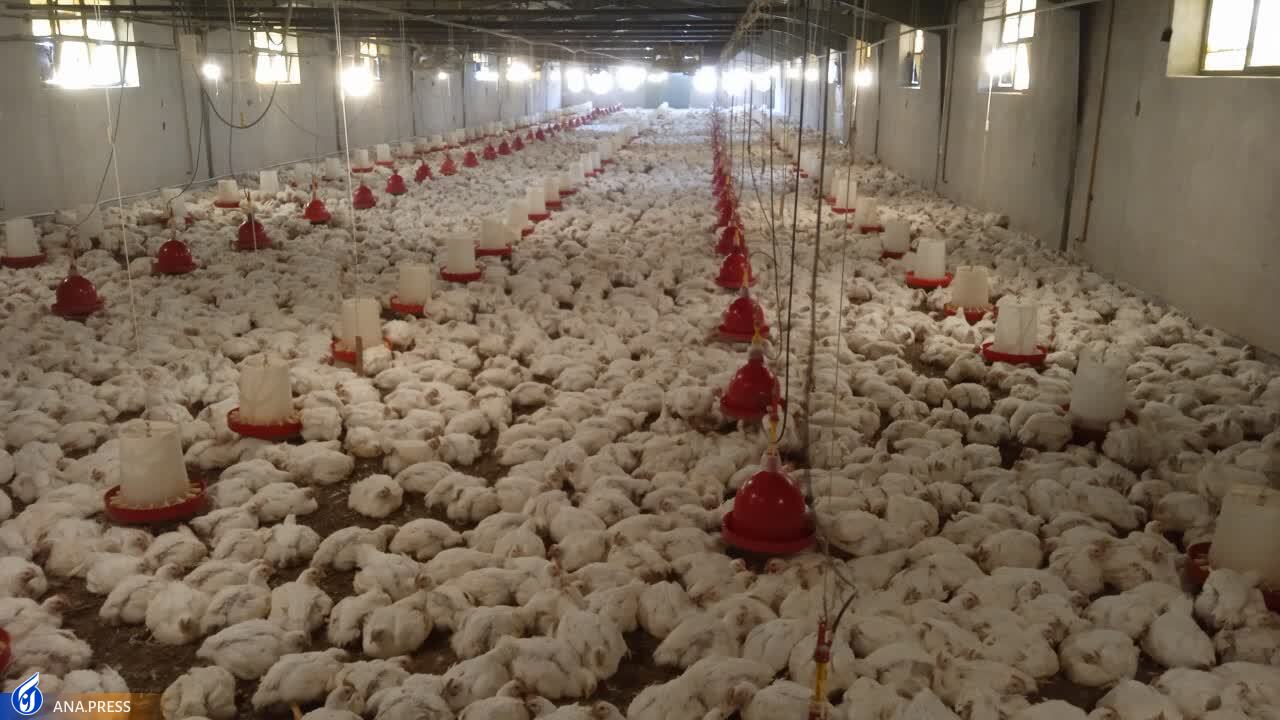 تربیت نیروی انسانی کارآمد با راه‌اندازی مدارس مهارتی