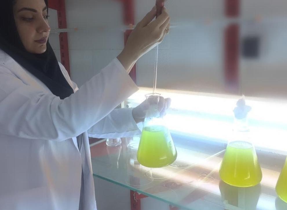 سهم ناچیز تولیدات داخلی از صنعت ۵۸ میلیون دلاری جلبک سهم ناچیز تولیدات داخلی از صنعت ۵۸ میلیون دلاری جلبک