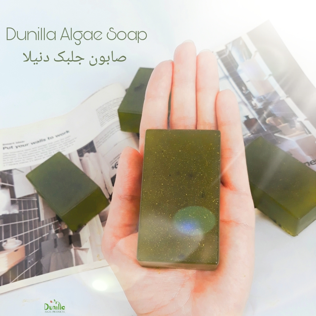 سهم ناچیز تولیدات داخلی از صنعت ۵۸ میلیون دلاری جلبک