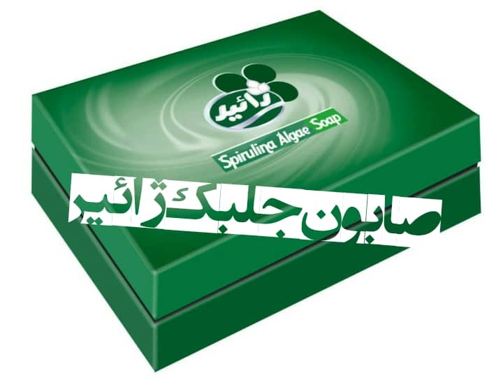 مدیر مرکز رشد واحد‌های فناور دانشگاه آزاد اسلامی واحد بندرعباس