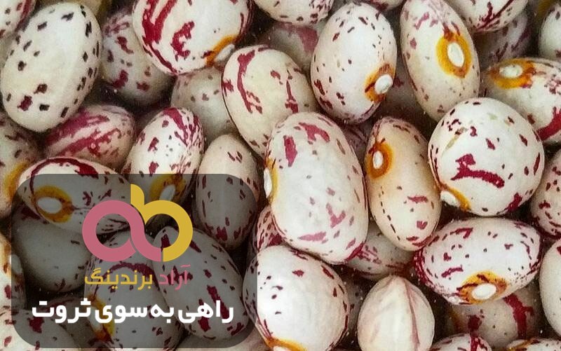 لوبیا چیتی اصلاح شده فله ایرانی