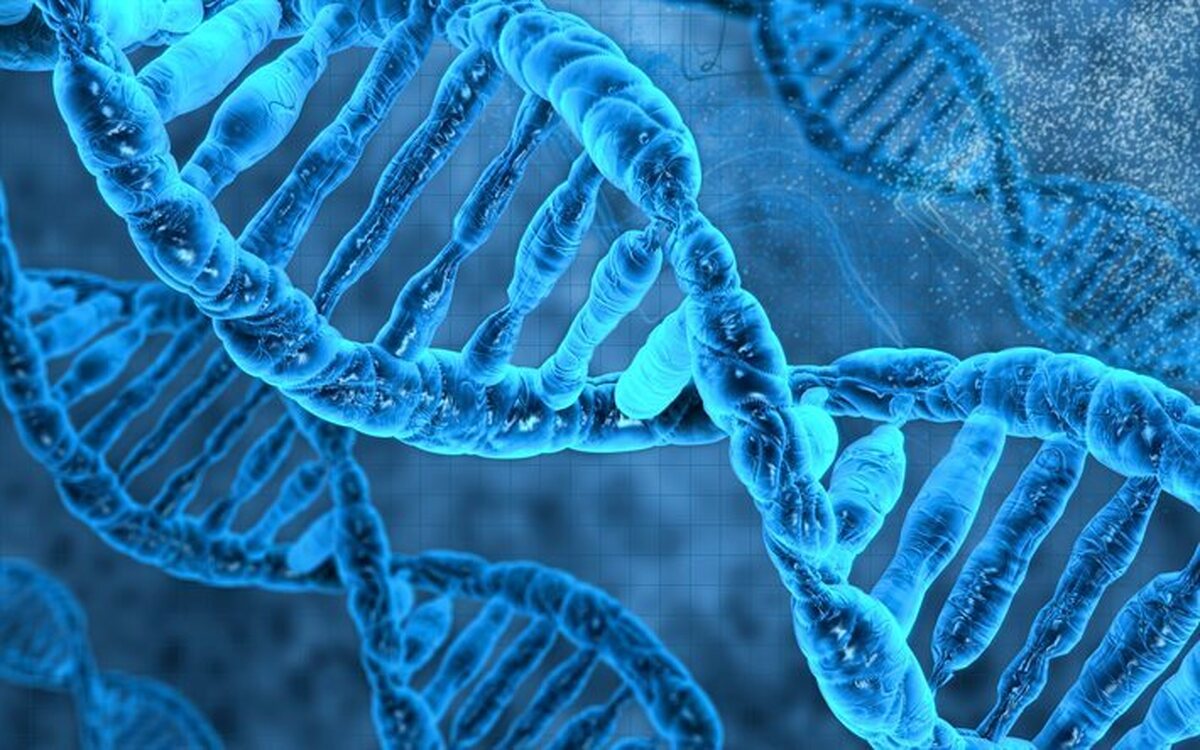 استخراج DNA خالص از سلول‌های زنده با فرمولاسیون زیستی  محصولی که ناهنجاری‌های ژنتیکی جنین را تشخیص می‌دهد