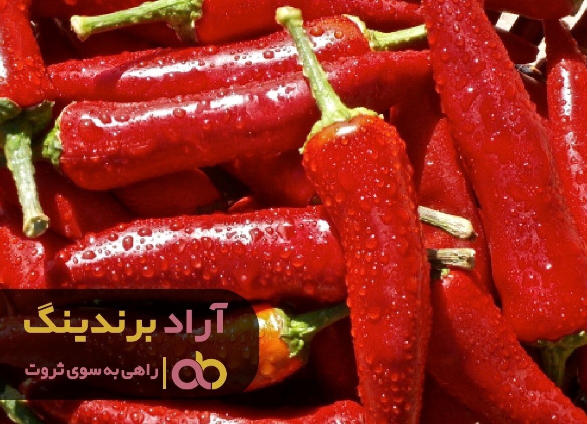 خرید پودر فلفل قرمز شیرین جدید