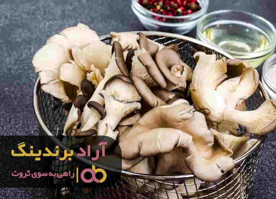 میزان فروش قارچ صدفی کوهی در کشور میزان فروش قارچ صدفی کوهی در کشور