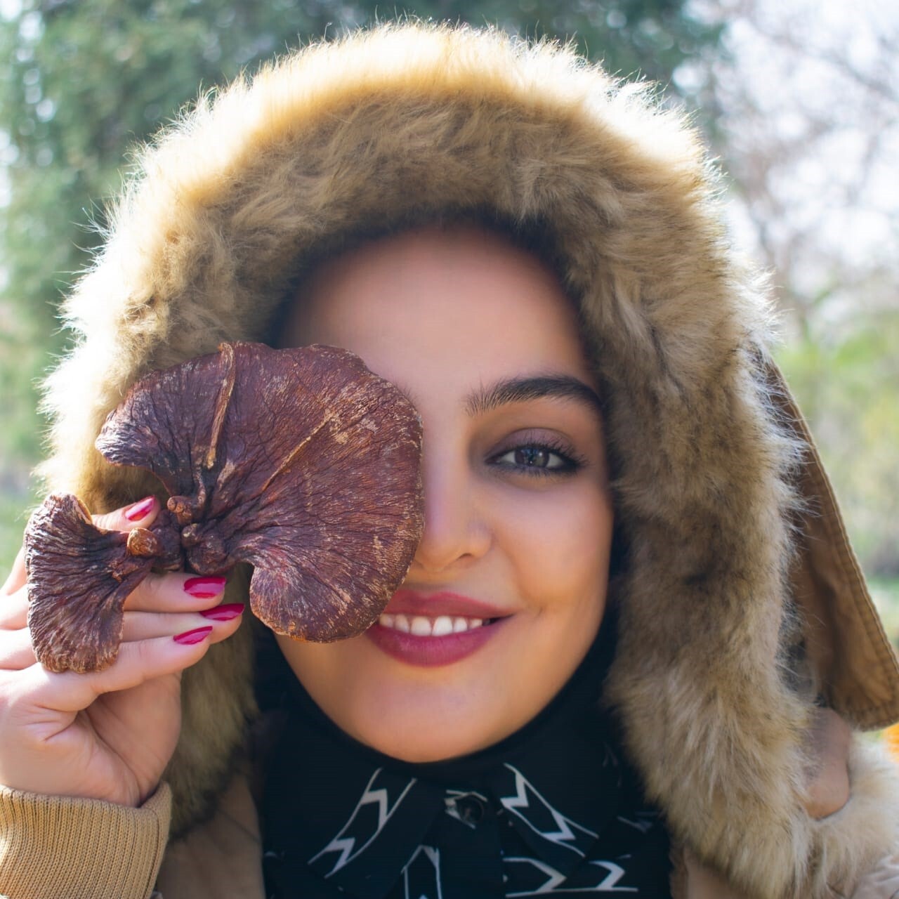 مصاحبه با بانوی کارآفرین تولید کننده قارچ گانودرما، زهرا آقائی