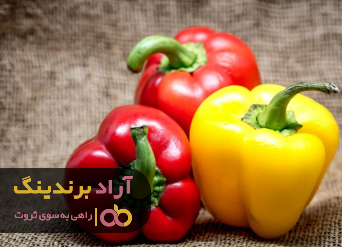 لیست قیمت فلفل دلمهای تلخ در مراکز فروش تهران لیست قیمت فلفل دلمهای تلخ در مراکز فروش تهران