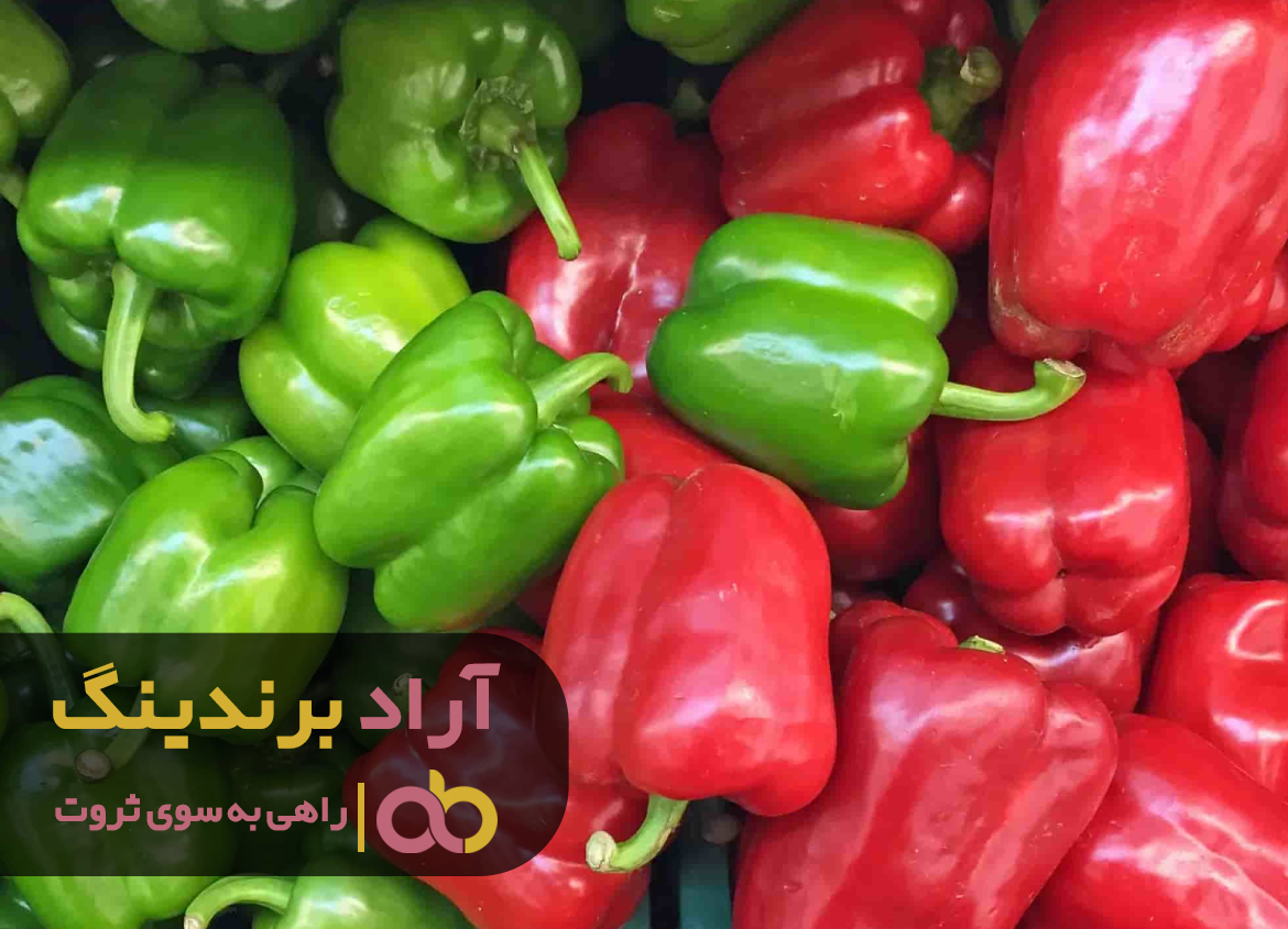 لیست قیمت فلفل دلمه‌ای تلخ در مراکز فروش تهران