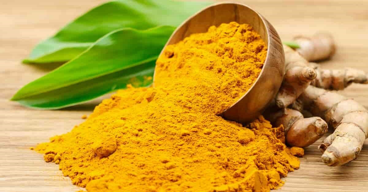 لیست قیمت زردچوبه اصل هندی و خواص آن لیست قیمت زردچوبه اصل هندی و خواص آن