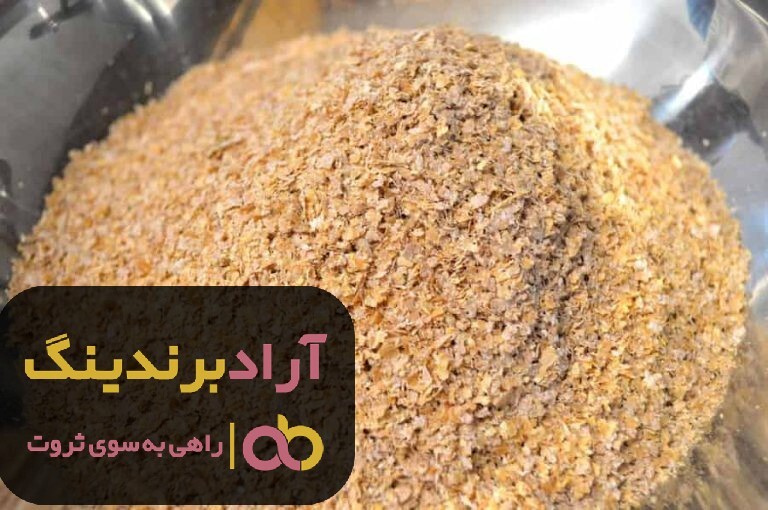 فروش دان اردک زینتی اسرانیلی مشهد فروش دان اردک زینتی اسرانیلی مشهد