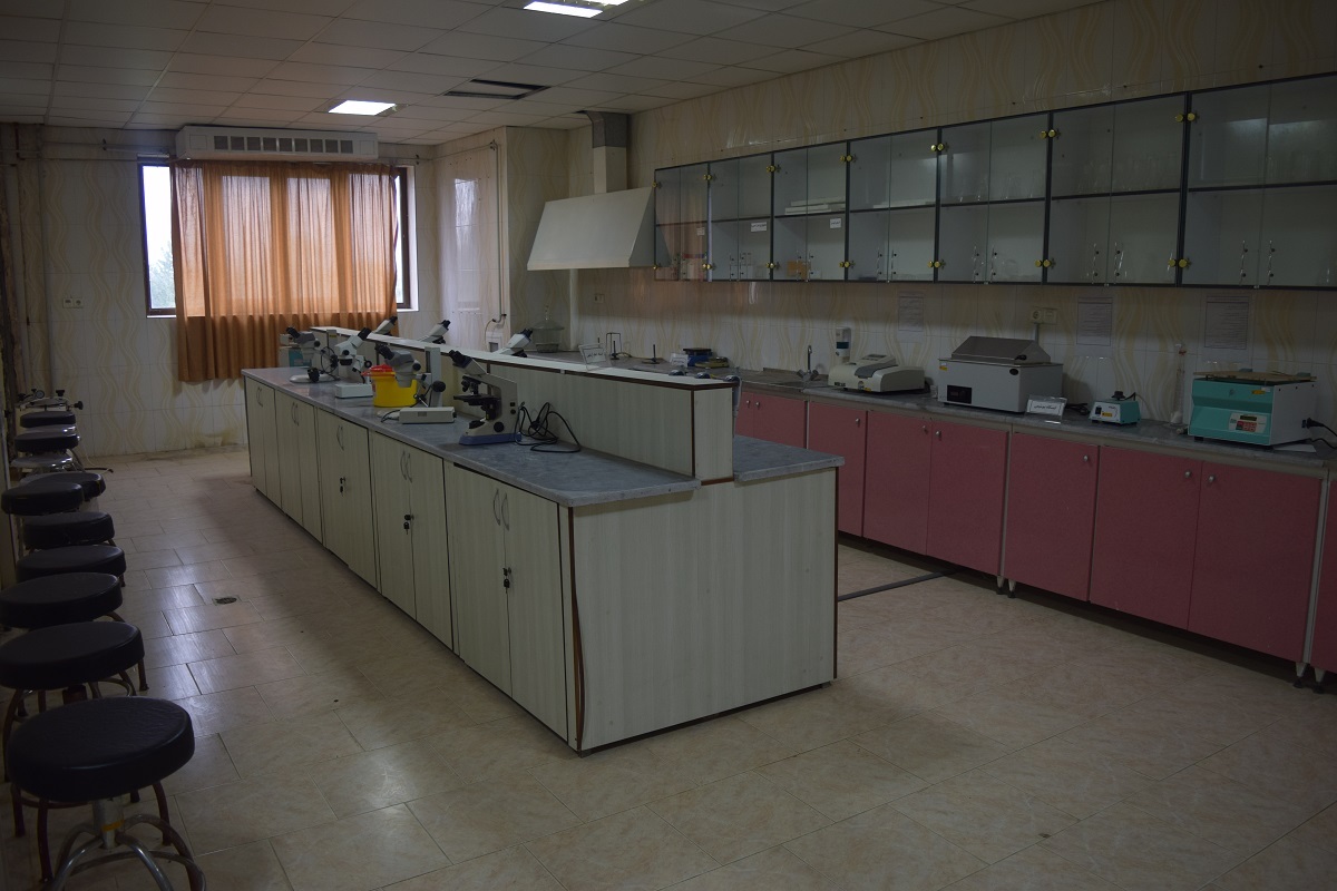 فعالیت ۲۱ آزمایشگاه و کارگاه تخصصی و عمومی در بندرگز فعالیت ۲۱ آزمایشگاه و کارگاه تخصصی و عمومی در بندرگز