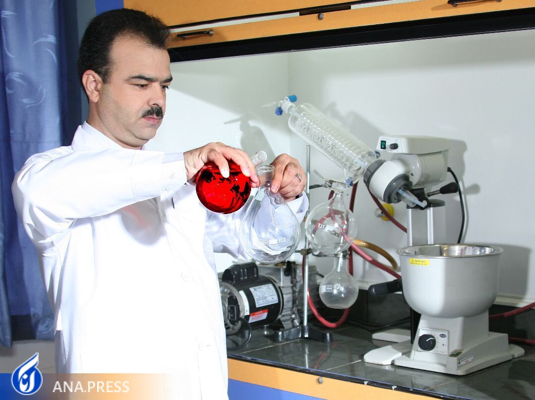 موشهای مزاحم به دام افتادند/ تولید «طعمه موشکش شتاب» دوستدار محیطزیست موشهای مزاحم به دام افتادند/ تولید «طعمه موشکش شتاب» دوستدار محیطزیست