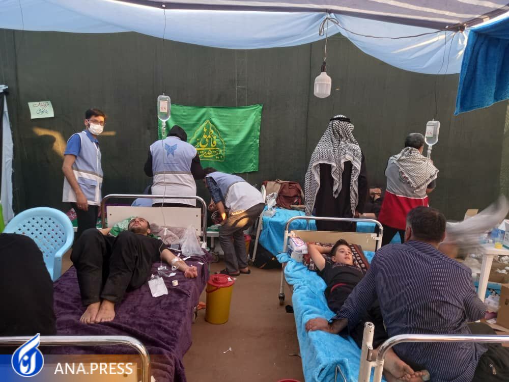 اهدای اقلام دارویی توسط هموطن ایرانی ساکن آمریکا به موکب منتظران مهدی(عج)