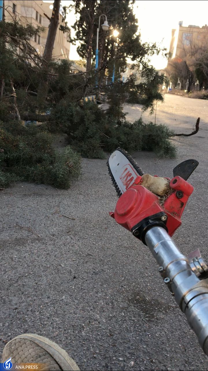 رفع نیاز هرس‌کاری در کل کشور با