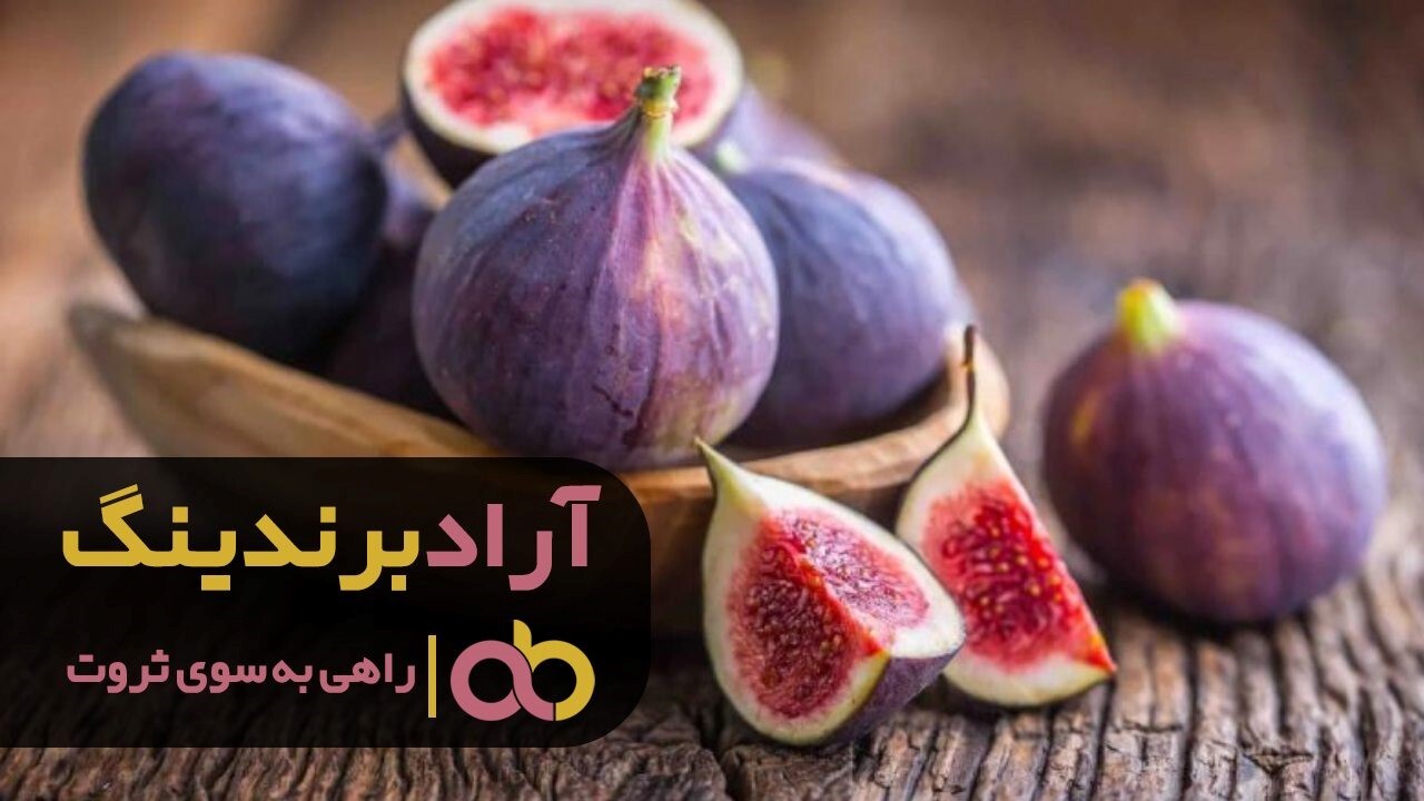 خرید انجیر سیاه خسروی جیرفت خرید انجیر سیاه خسروی جیرفت