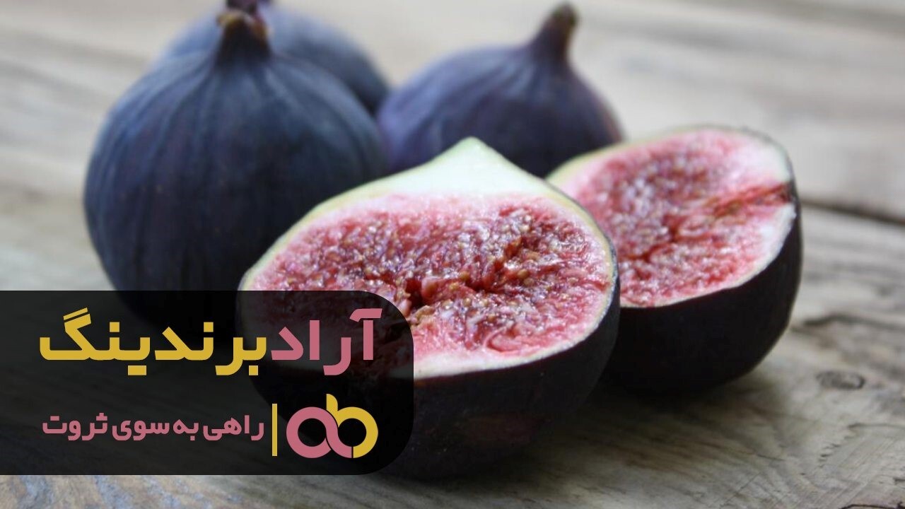 خرید انجیر سیاه خسروی جیرفت خرید انجیر سیاه خسروی جیرفت