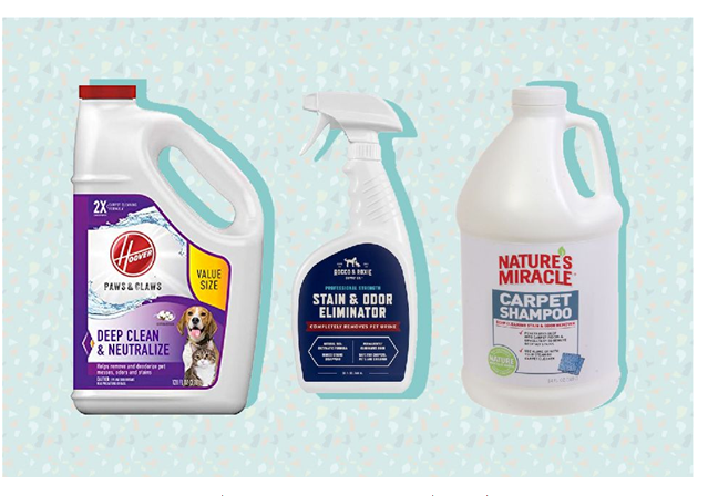 بهترین شرکت قالیشویی کدام است