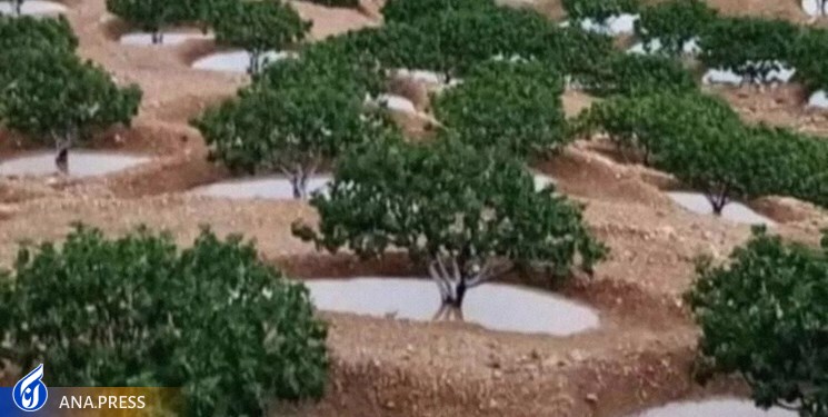 وقتی فناوری از تهدید سیل، فرصت میسازد/آب سیل چگونه میتواند مشکل خشکسالی را حل کند؟ وقتی فناوری از تهدید سیل، فرصت میسازد/آب سیل چگونه میتواند مشکل خشکسالی را حل کند؟