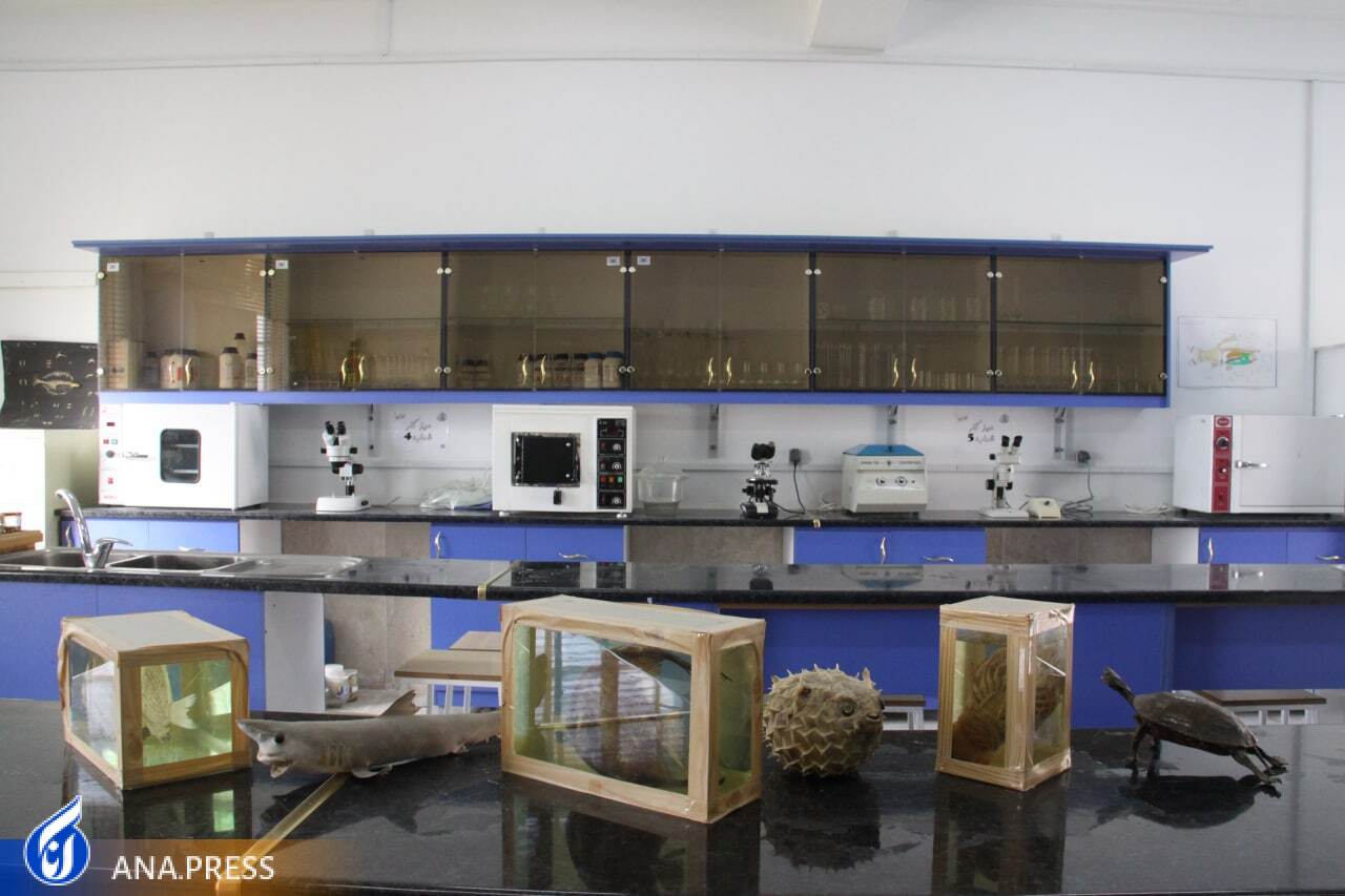 از ارتقای پژوهشهای علمی تا گسترش دانش تخصصی سنجش از راه دور/ تنها فصلنامه مشترک علوم منابع طبیعی و مکانی را بشناسید از ارتقای پژوهشهای علمی تا گسترش دانش تخصصی سنجش از راه دور/ تنها فصلنامه مشترک علوم منابع طبیعی و مکانی را بشناسید