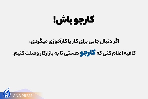 «روبرد» چگونه مثلث «دانشگاه، دانشجو و کار» را به هم متصل می‌کند؟/ شبکه‌ای برای رفع خلأ ارتباطی دانشگاه و صنعت