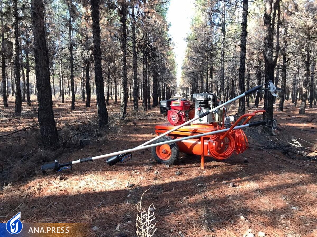 مطالبه دانش‌بنیان‌ها از تولید به مصرف/ شرکت‌های دانش‌بنیان با چه مشکلاتی دست به گریبان هستند؟