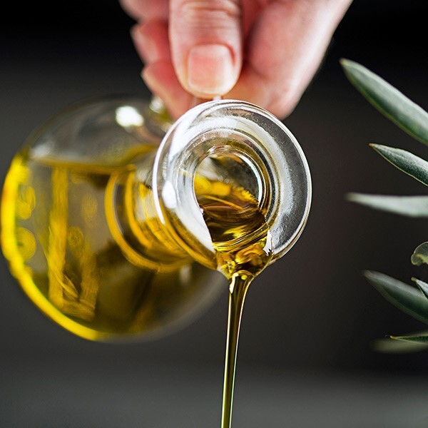 زمان برداشت زیتون برای روغن گیری زمان برداشت زیتون برای روغن گیری