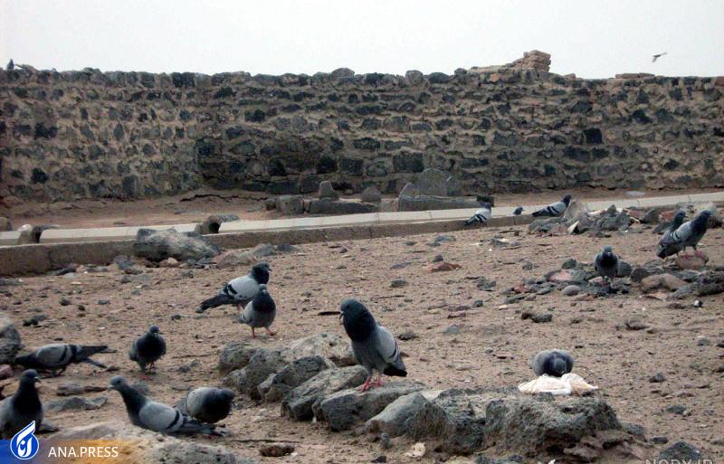 صلح امام حسن(ع) نزدیکترین مسیر به عزت بود/ ماجرای نقشه اطرافیان معاویه برای تخریب شخصیت امام مجتبی (ع) صلح امام حسن(ع) نزدیکترین مسیر به عزت بود/ ماجرای نقشه اطرافیان معاویه برای تخریب شخصیت امام مجتبی (ع)