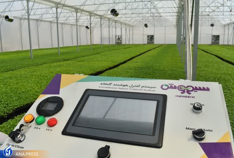 سنگ‌اندازی در مسیر دانش‌بنیان‌ها با «هفت‌خوان رستم» تجاری‌سازی/ سرمایه‌گذاری خطرپذیر؛ این است چاره کار