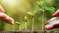 محصولی-بیولوژیک-برای-افزایش-جذب-مواد-غذایی-و-کنترل-آفات-کشاورزی