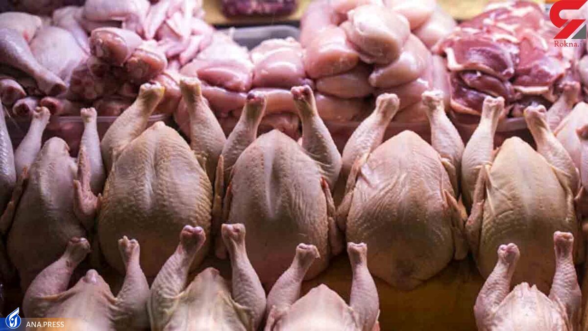 قیمت انواع گوشت قرمز و مرغ  ماهیچه گوسفندی ۲۳۷ هزار تومان