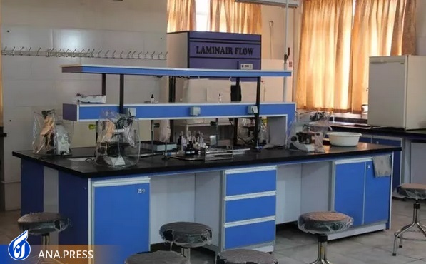 ۲۰۰ عنوان پژوهشی در برنامه علمی «زیارت» ثبت شد