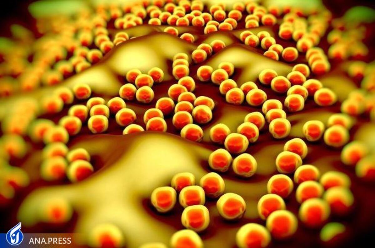 اَبَر میکروب MRSA بالاخره در برابر آنتی‌بیوتیک‌ها آسیب‌پذیر شد