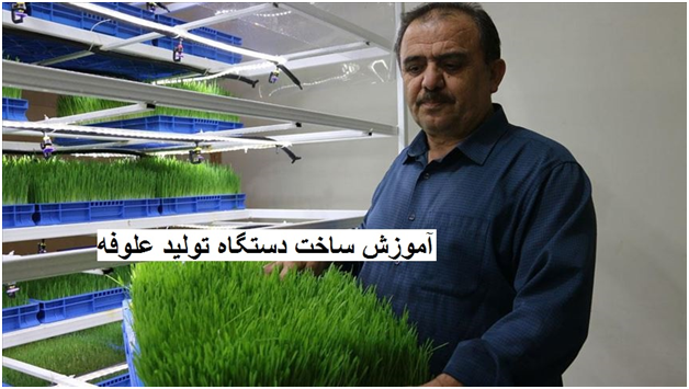 کشت عمودی طبقاتی با سینی علوفه هیدروپونیک