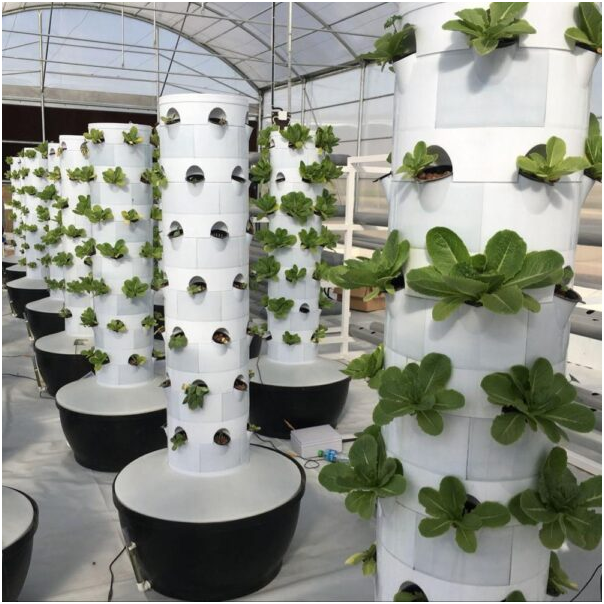 کشت عمودی طبقاتی با سینی علوفه هیدروپونیک