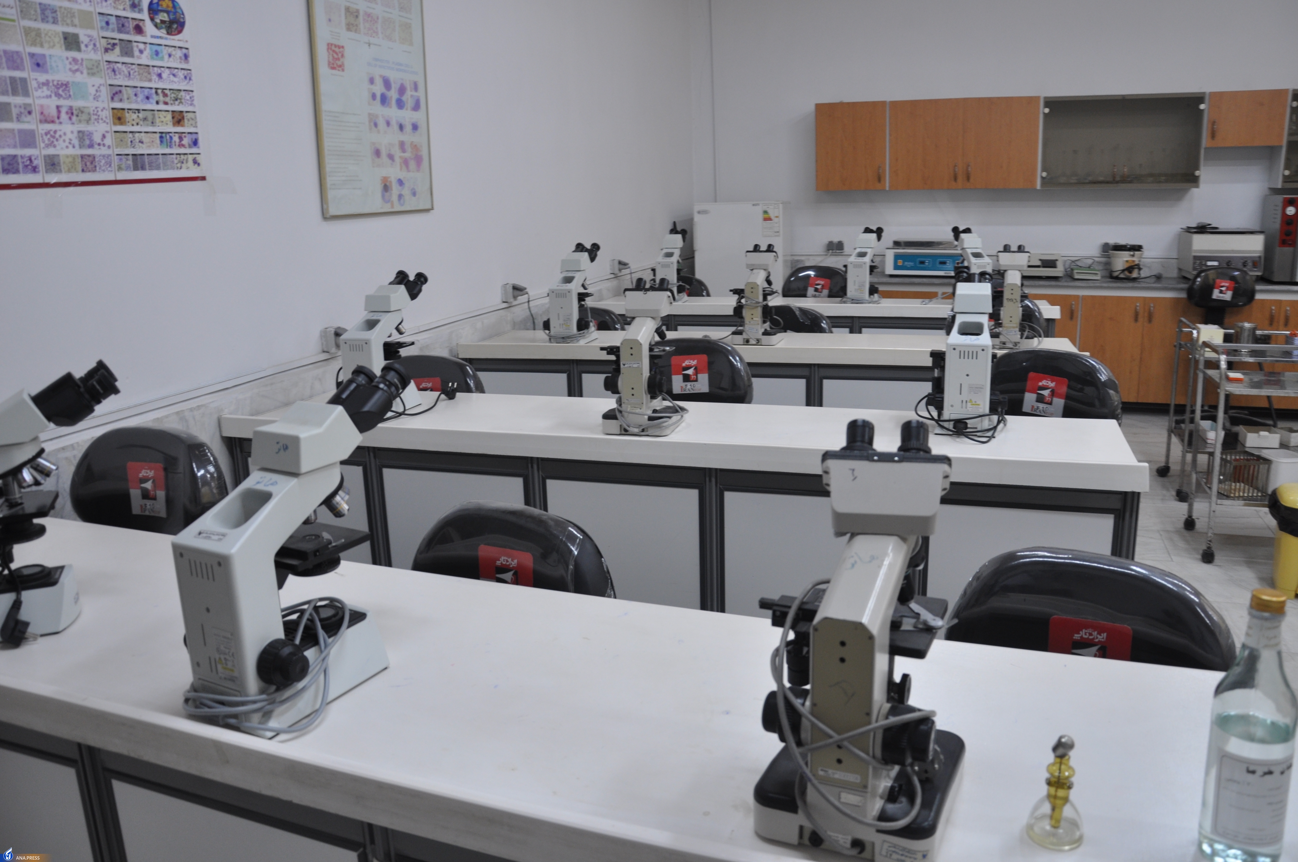 تأسیس دانشگاه آزاد اسلامی چالوس