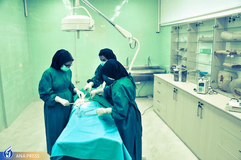 دانشگاهی که حمایت از دانش‌بنیان‌ها را عملیاتی کرد/ تربیت دانش‌آموختگان استخدام‌کننده