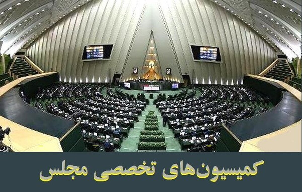 سوال از وزیر بهداشت در دستور کار کمیسیون‌های تخصصی مجلس