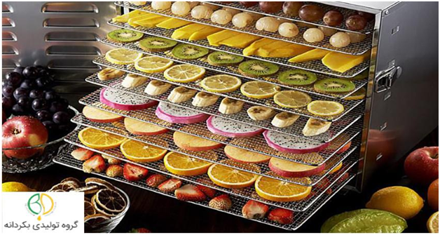 راهنمای خرید میوه خشک کن باکیفیت