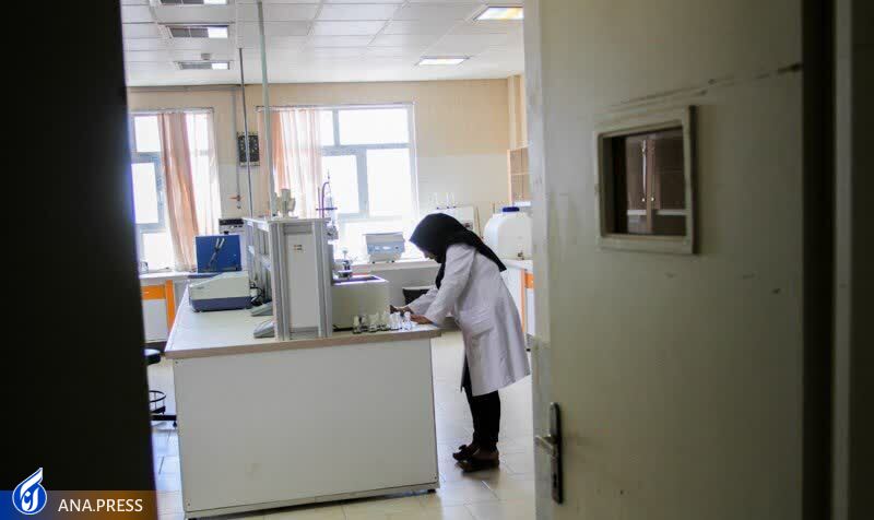 راهکارهایی برای تجاریسازی محصولات فناور/ برنامههای راهبردی حمایت از نخبگان اصلاح و عملیاتی شود راهکارهایی برای تجاریسازی محصولات فناور/ برنامههای راهبردی حمایت از نخبگان اصلاح و عملیاتی شود