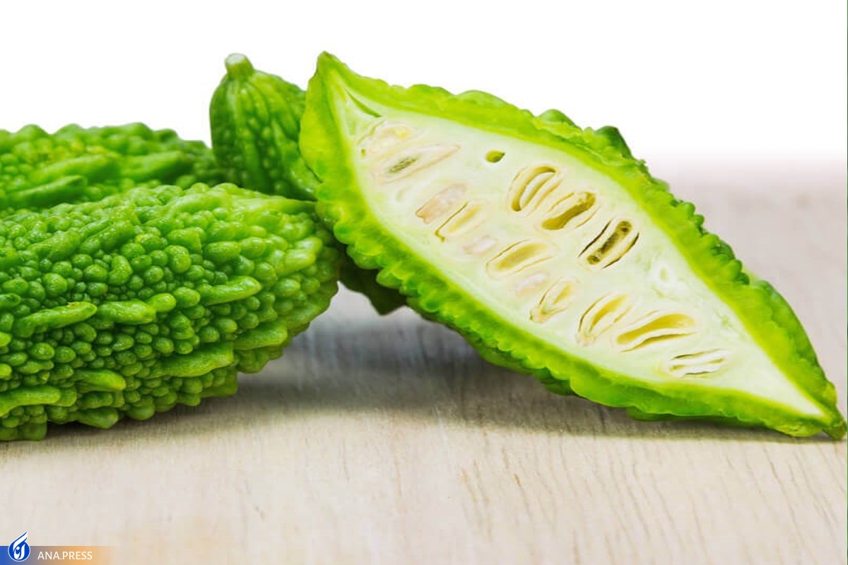 درمان دیابت و غلبه بر سلول‌های سرطانی با «کارلایا»