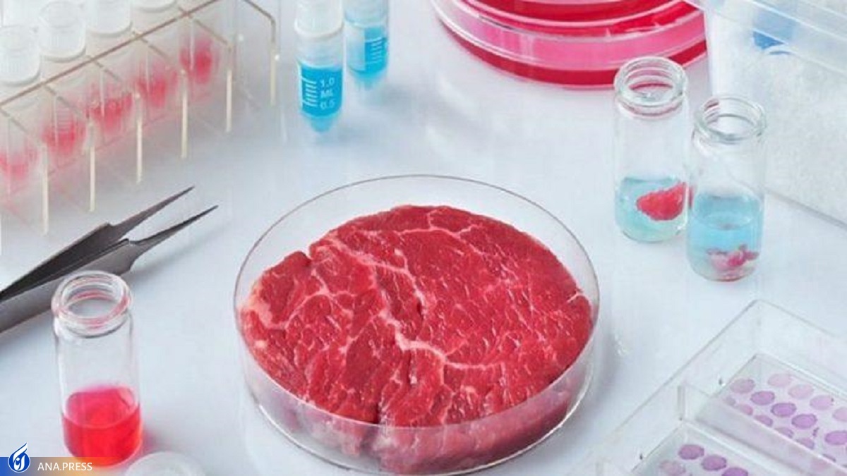 آمریکا به مصرف گوشت‌های آزمایشگاهی مجوز داد