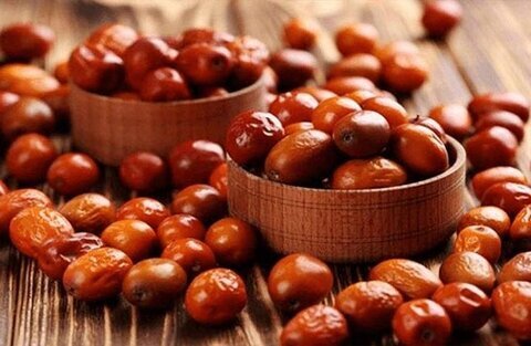 سنجد؛ یک لاغر کننده فوق حرفهای! سنجد؛ یک لاغر کننده فوق حرفهای!