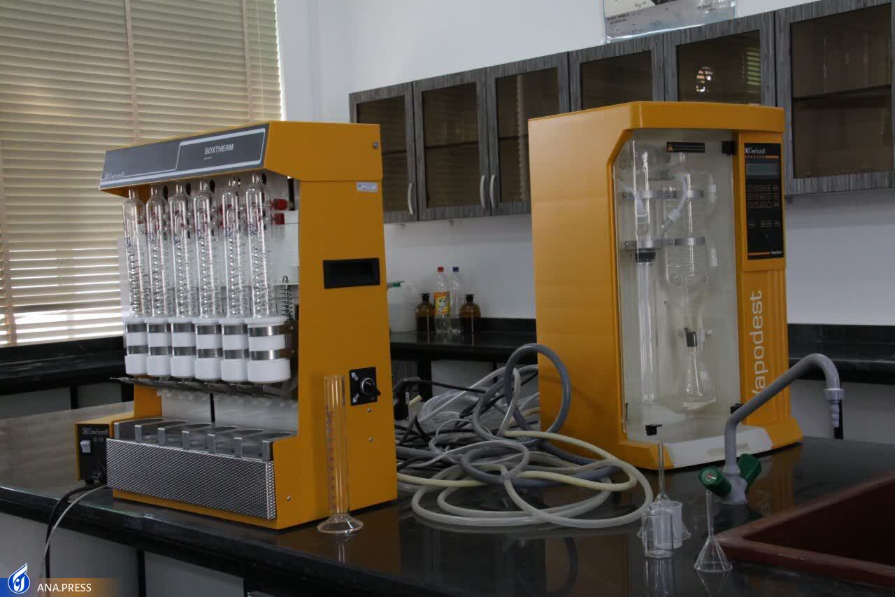 بزرگ‌ترین مرکز آموزش عالی استان بوشهر در چه پله‌ای قرار دارد؟