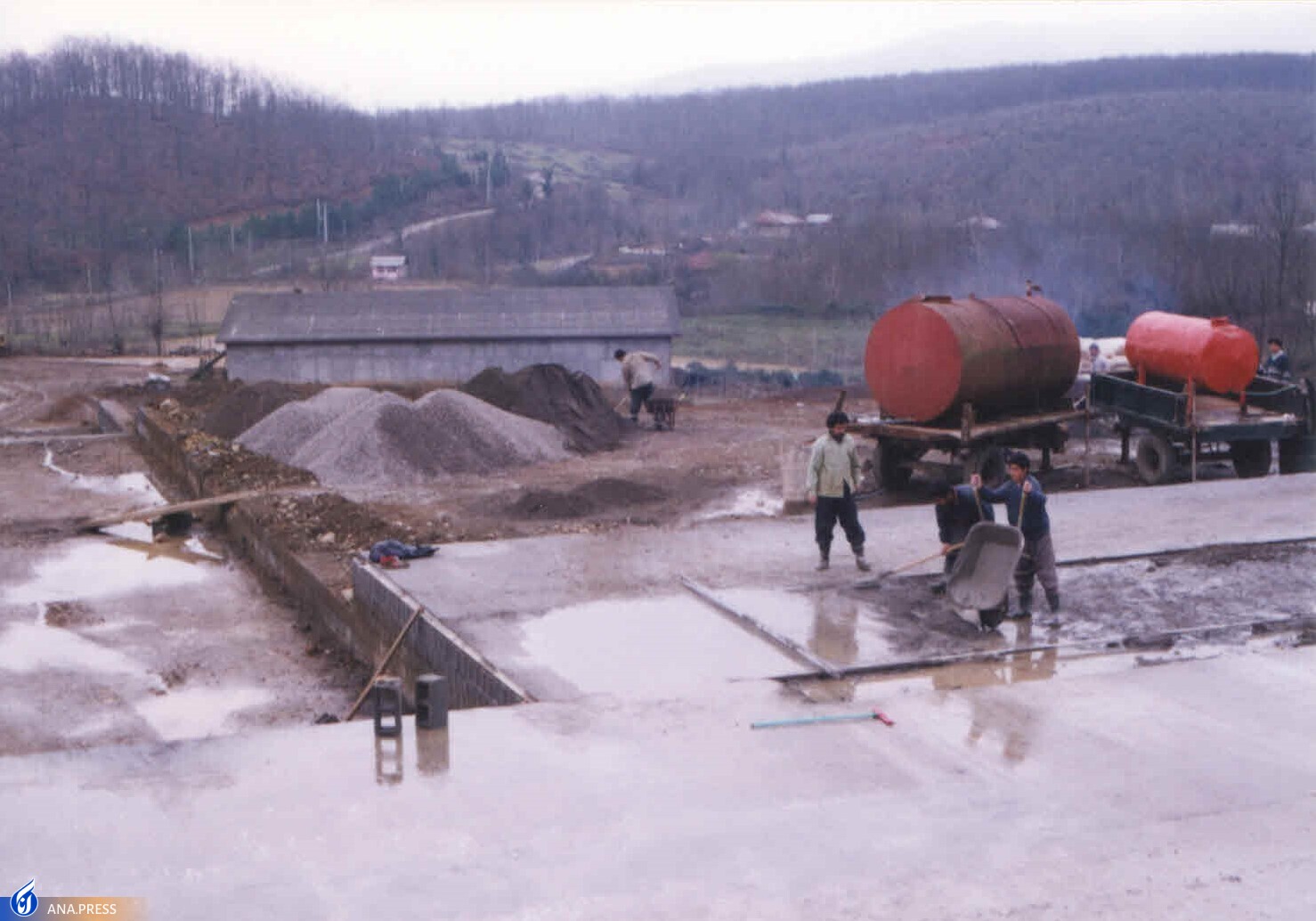 مدیر پژوهش دانشکده کشاورزی و منابع طبیعی