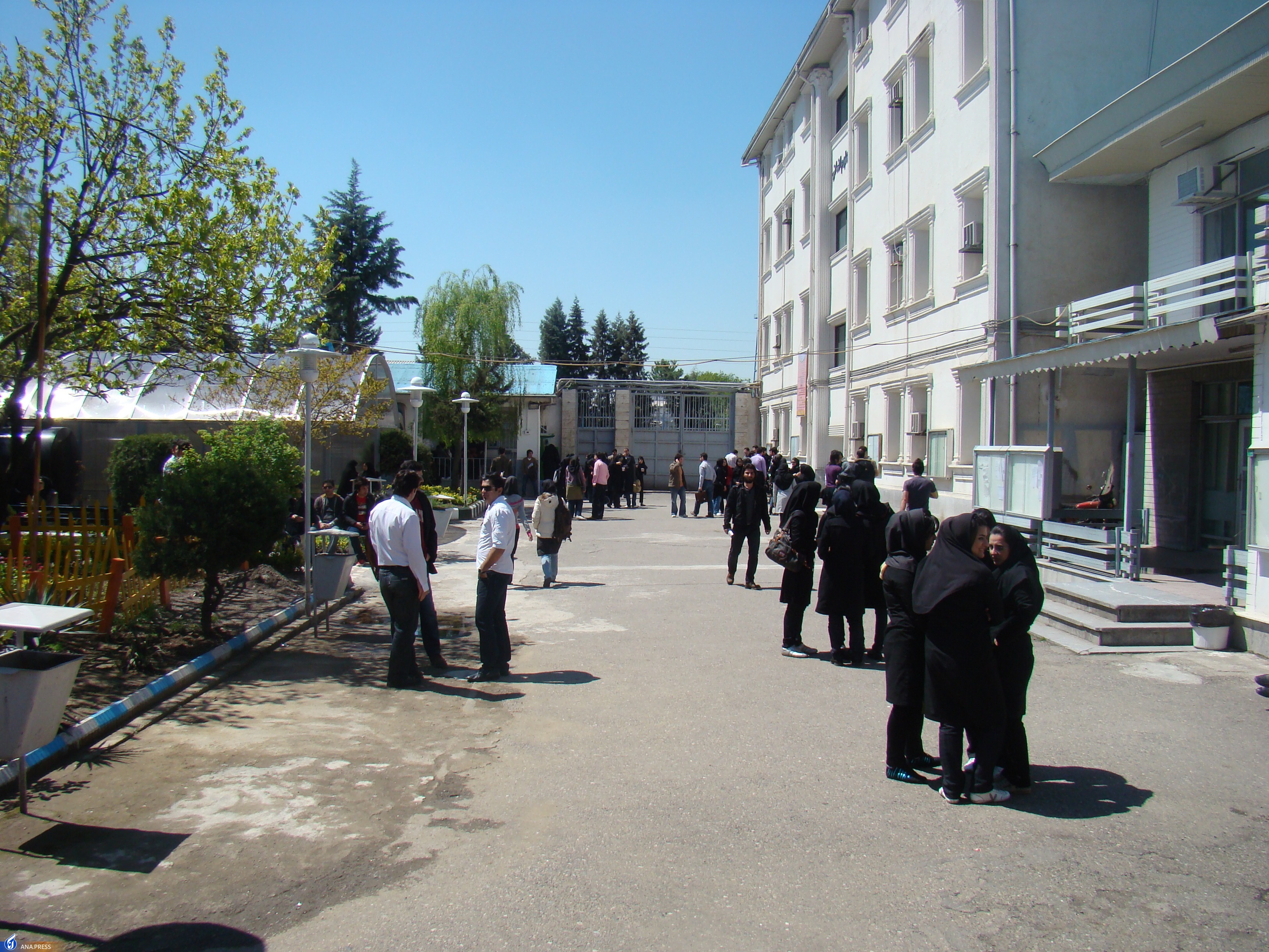 مدیر پژوهش دانشکده کشاورزی و منابع طبیعی