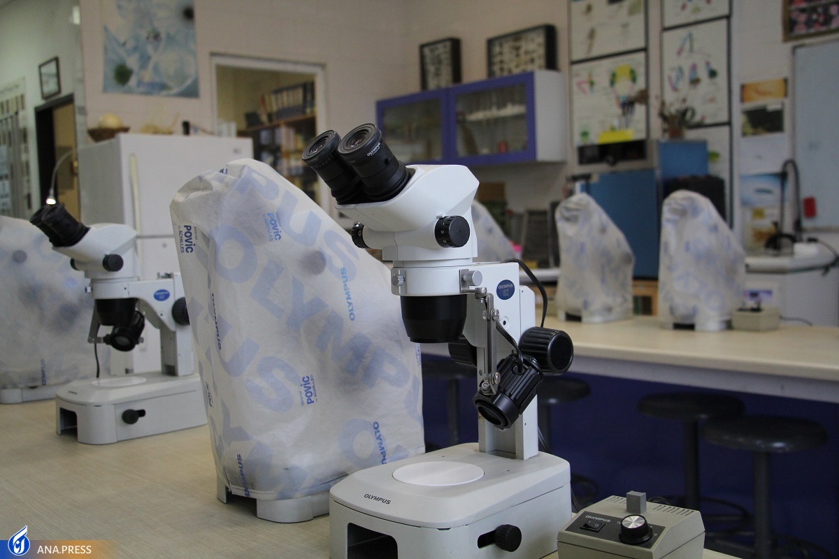 مدیر پژوهش دانشکده کشاورزی و منابع طبیعی