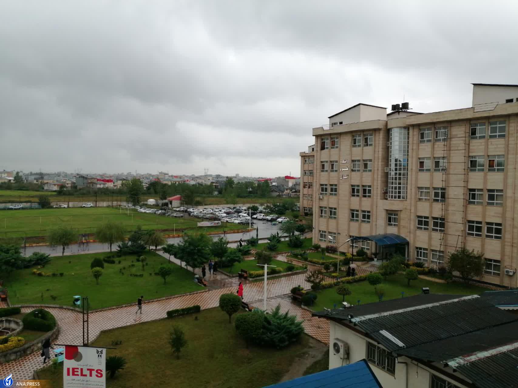 مدیر پژوهش دانشکده کشاورزی و منابع طبیعی