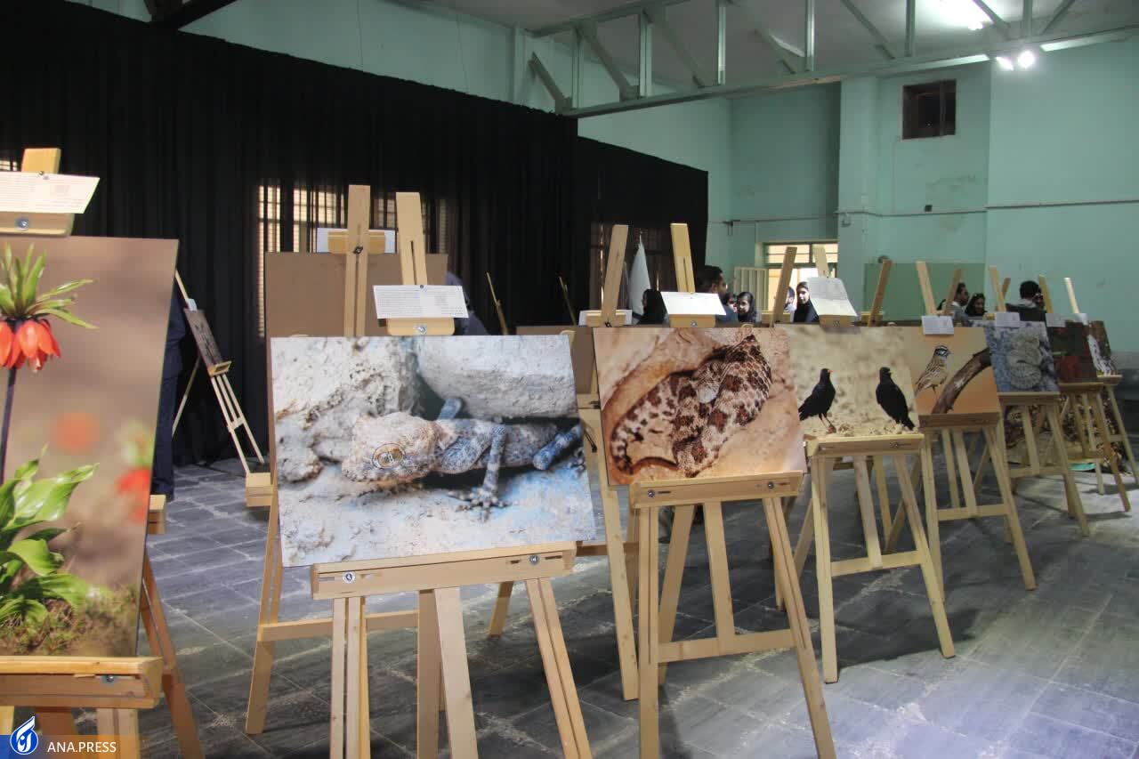 دانشگاه‌ گنجینه‌های پنهان را در قالب نمایشگاه‌ها معرفی کند