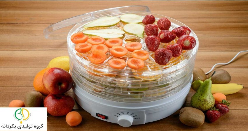 راهنمای خرید میوه خشک کن باکیفیت