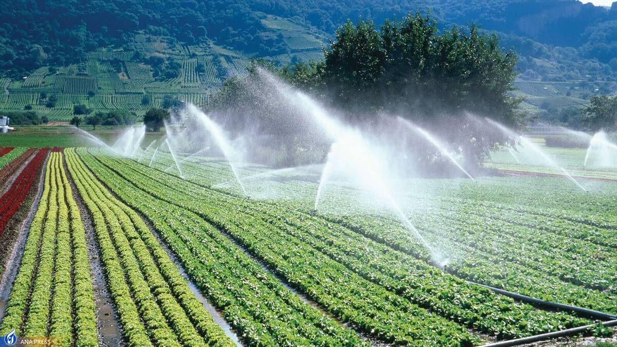 کاهش مصرف آب در کشاورزی با سامانه‌ای بومی و هوشمند